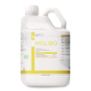 MOLIBO